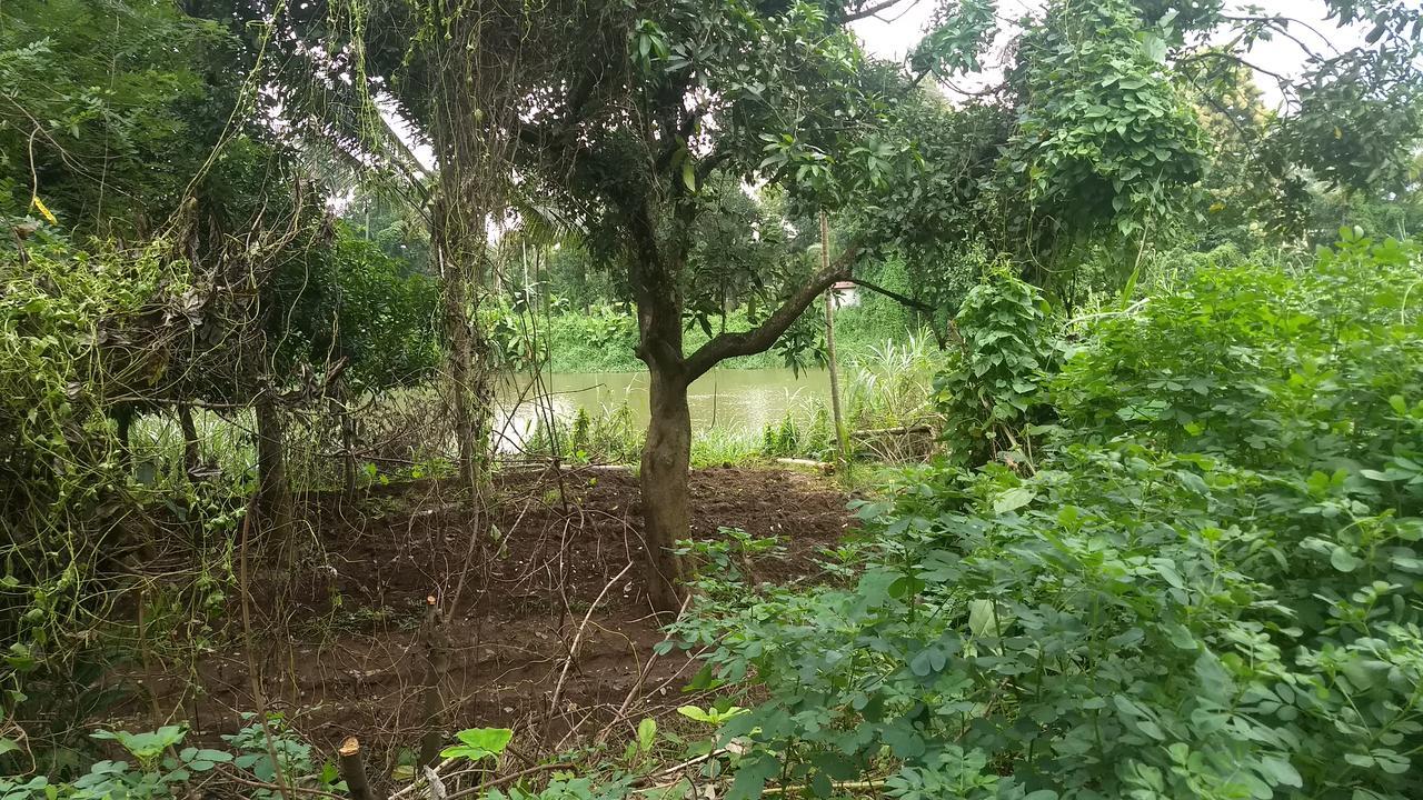 Neelambari Resorts Urakam Exteriér fotografie